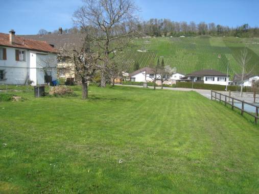 Thal SG, Bauland 1346 m2